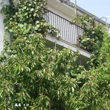 Apartments Prizmic ポドストラナ エクステリア 写真