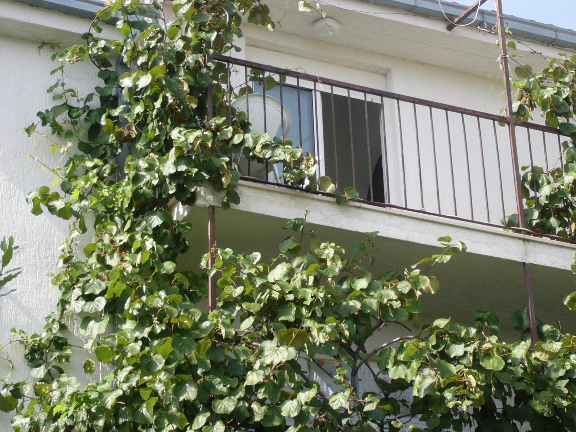 Apartments Prizmic ポドストラナ エクステリア 写真